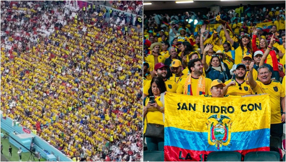 Qatar vs Ecuador: Desde el “queremos cerveza” hasta el 'provocador fan' y lo que no se vio del juego (video)