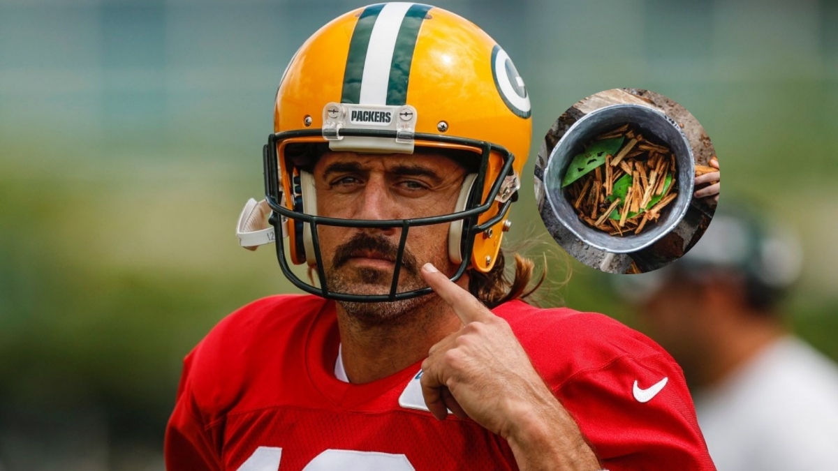 Aaron Rodgers asegura que la ayahuasca le ayudó a ganar el MVP de la NFL