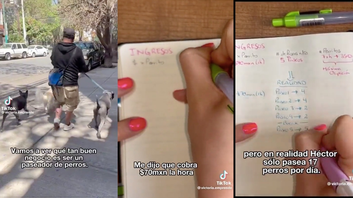 ¿Mejor que terminar la carrera? Tiktoker revela la cifra que gana un paseador de perros