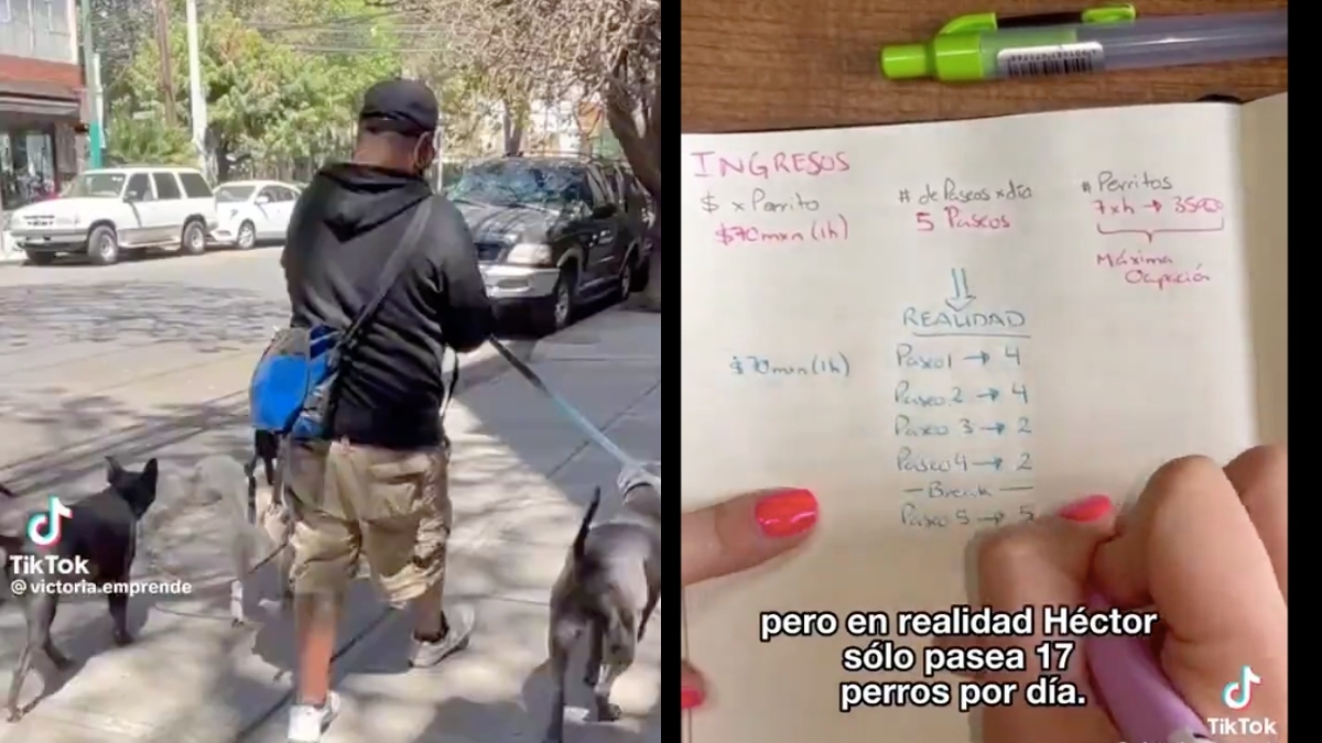 Tiktoker revela lo que gana un paseador de perros; ¿cobra más que un profesionista?