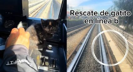 Chófer de la Línea B del Metro rescata a un gatito de las vías y se vuelve viral (VIDEO)